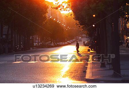 Sunlight on the Road View Large Photo Image Stock Photo - Sunlight on the Road. Fotosearch