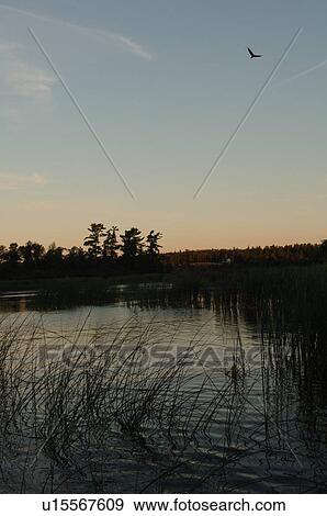 Stock Photo - Silhouette of shoreline against twilight sky. Fotosearch