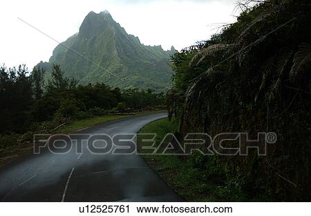 Stock Image - A country road winding through a woody area, Moorea, Tahiti, French Polynesia, South Pacific. Fotosearch