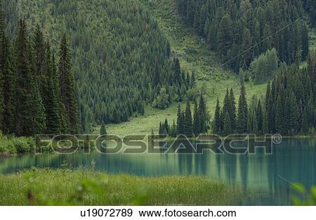 A picturesque lake surrounded by tall trees, Rocky Mountains, Canada View Large Photo Image Stock Photo - A picturesque lake surrounded by tall trees, Rocky Mountains, Canada. Fotosearch