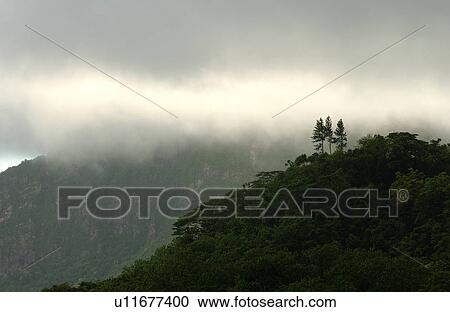 Stock Image - Clouds obscuring hills, Moorea, Tahiti, French Polynesia, South Pacific. Fotosearch