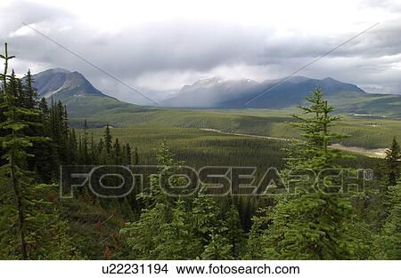 Dense growth on a mountainous landscape, Rocky Mountains, Canada View Large Photo Image Picture - Dense growth on a mountainous landscape, Rocky Mountains, Canada. Fotosearch