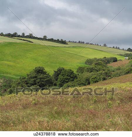 Ireland - countryside farmland View Large Photo Image Stock Photo - Ireland - countryside farmland. Fotosearch