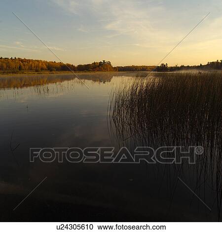 Lake and Tall Grass at Dusk View Large Photo Image Stock Image - Lake and Tall Grass at Dusk. Fotosearch
