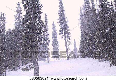 Lake Louise Ski Resort, Alberta, Canada View Large Photo Image Stock Image - Lake Louise Ski Resort, Alberta, Canada. Fotosearch