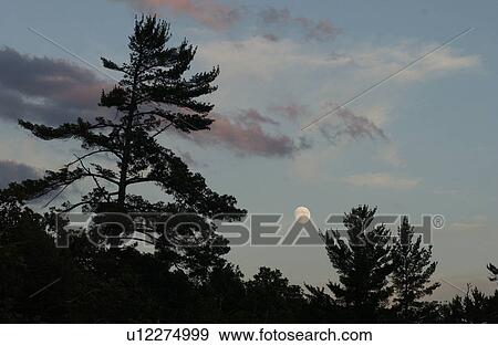Stock Photo - Lake Photography. Fotosearch