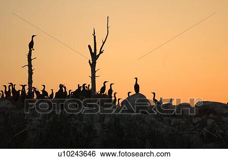 Stock Photograph - Lake Scenes. Fotosearch
