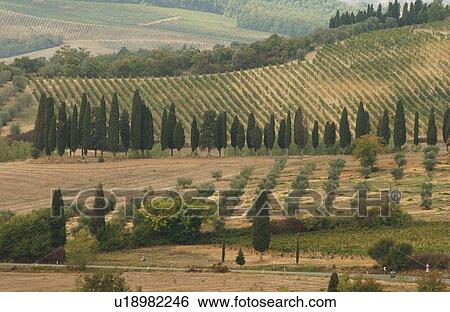 Stock Photograph - Landscapes - Tuscany, Italy. Fotosearch