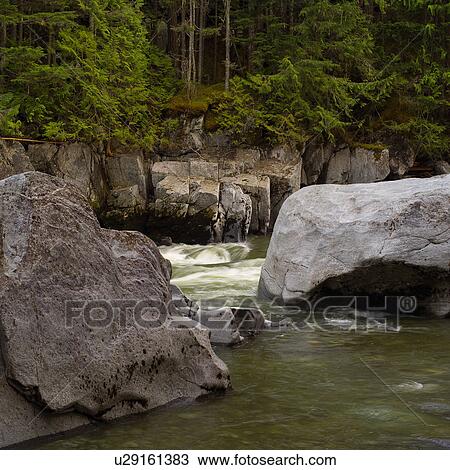 Stock Image - Nature trails in British Columbia. Canada. Fotosearch