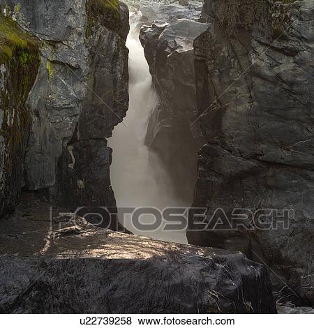 Stock Photo - Nature trails in British Columbia. Canada. Fotosearch