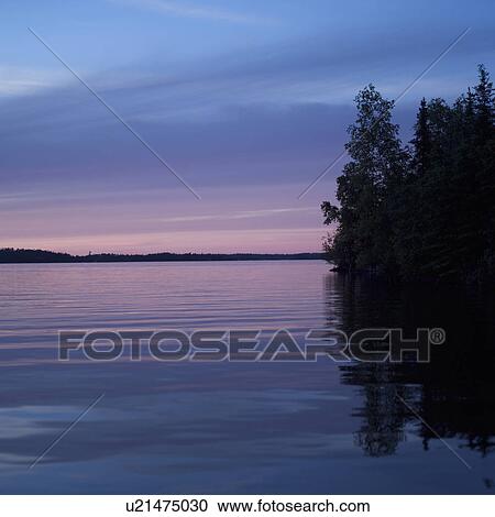 Silhouette of trees by Lake of the woods, Ontario, Canada View Large Photo Image Stock Image - Silhouette of trees by Lake of the woods, Ontario, Canada. Fotosearch