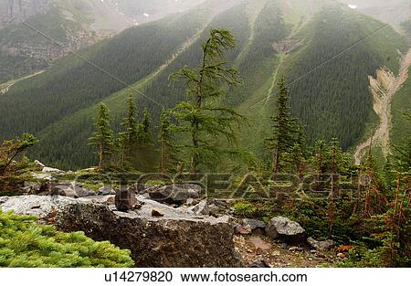 View of the Rocky Mountains, Canada View Large Photo Image Stock Image - View of the Rocky Mountains, Canada. Fotosearch