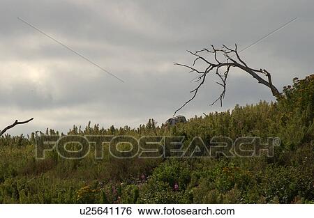 Lake lifestyle View Large Photo Image Stock Photograph - Lake lifestyle. Fotosearch