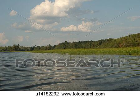 Lake of the Woods, Ontario, Canada View Large Photo Image Stock Image - Lake of the Woods, Ontario, Canada. Fotosearch