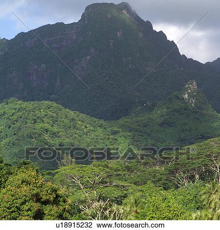 Landscape at Moorea in Tahiti View Large Photo Image Stock Image - Landscape at Moorea in Tahiti. Fotosearch