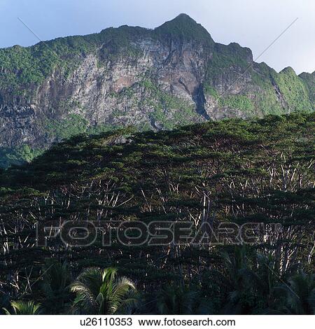 Stock Image - Mountain Range at Moorea in Tahiti. Fotosearch