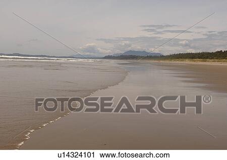 Sandy beach, Pacific Rim National Park, Vancouver Island, Canada View Large Photo Image Stock Image - Sandy beach, Pacific Rim National Park, Vancouver Island, Canada. Fotosearch