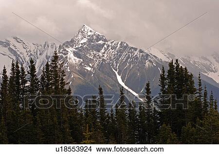 Snow Capped Mountain Peak, Jasper National Park, Canada View Large Photo Image Picture - Snow Capped Mountain Peak, Jasper National Park, Canada. Fotosearch