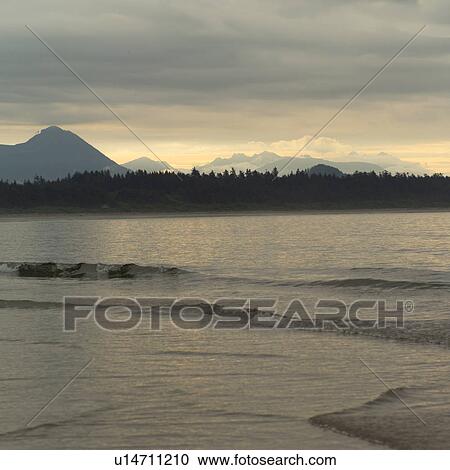 Sunrise Seascape View of Pacific Ocean, Pacific Rim Park, Vancouver Island, Canada View Large Photo Image Stock Image - Sunrise Seascape View of Pacific Ocean, Pacific Rim Park, Vancouver Island, Canada. Fotosearch