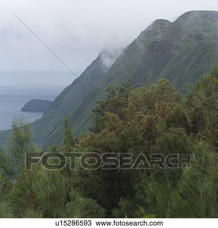 Tropical Landscape of Kauai and Molokai, Hawaii View Large Photo Image Stock Image - Tropical Landscape of Kauai and Molokai, Hawaii. Fotosearch