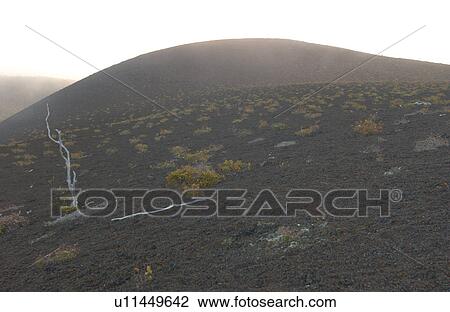 Stock Image - Volcano National Park - Big Island of Hawaii - Desolation Trail. Fotosearch
