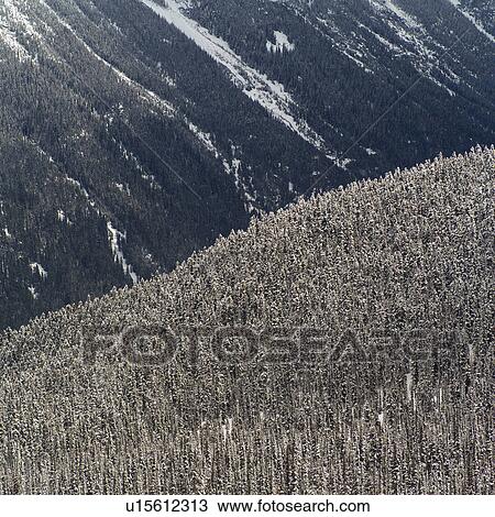 Stock Image - Whistler Mountain in the winter. Fotosearch