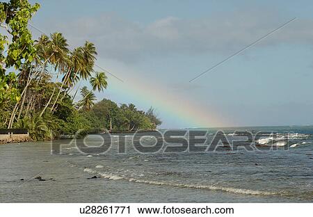 A rainbow seen from the sea shore over the sea, Moorea, Tahiti, French Polynesia, South Pacific View Large Photo Image Stock Image - A rainbow seen from the sea shore over the sea, Moorea, Tahiti, French Polynesia, South Pacific. Fotosearch