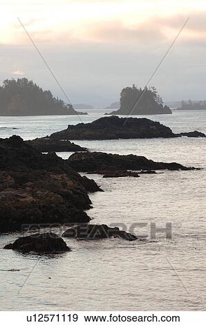 Broken Islands, Pacific Rim National Park, Vancouver Island, Canada View Large Photo Image Stock Photo - Broken Islands, Pacific Rim National Park, Vancouver Island, Canada. Fotosearch