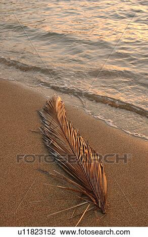 Hawaii - seascapes View Large Photo Image Stock Image - Hawaii - seascapes. Fotosearch