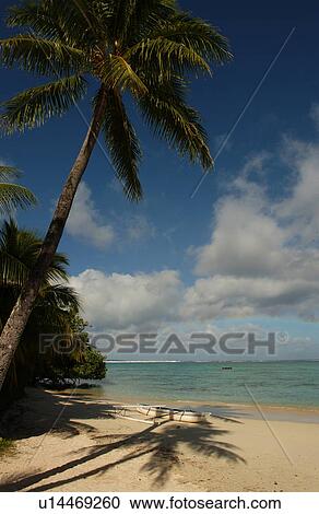 Stock Image - Panoramic view of the ocean from the beach, Moorea, Tahiti, French Polynesia, South Pacific. Fotosearch