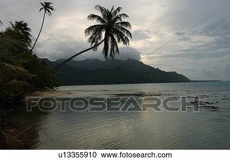 Panoramic view of the ocean with hills beyond it, Moorea, Tahiti, French Polynesia, South Pacific View Large Photo Image Stock Image - Panoramic view of the ocean with hills beyond it, Moorea, Tahiti, French Polynesia, South Pacific. Fotosearch