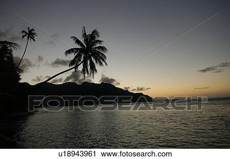 Panoramic view of the seashore, Moorea, Tahiti, French Polynesia, South Pacific View Large Photo Image Stock Image - Panoramic view of the seashore, Moorea, Tahiti, French Polynesia, South Pacific. Fotosearch