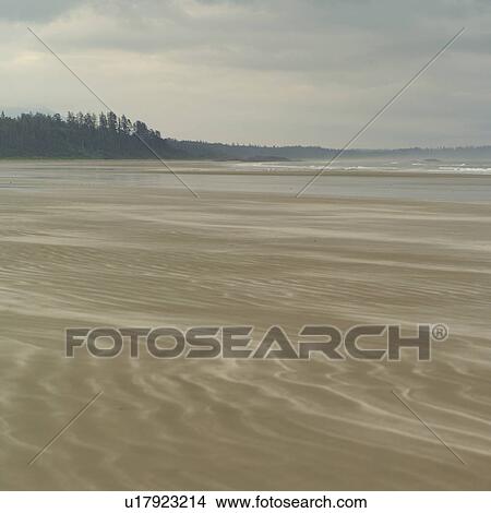 Picture - Seascape view of Pacific Ocean, Pacific Rim Park, Vancouver Island, Canada. Fotosearch