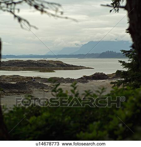 Seascape view, Wickaninnish Beach Trail, Vancouver Island, Canada View Large Photo Image Stock Image - Seascape view, Wickaninnish Beach Trail, Vancouver Island, Canada. Fotosearch
