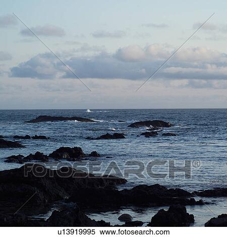 Stock Photography - View of ocean at Pacific Rim Park, Vancouver Island, Canada. Fotosearch