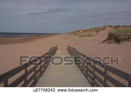 Walk way leading to a deserted beach in Prince Edward Island, Canada View Large Photo Image Stock Image - Walk way leading to a deserted beach in Prince Edward Island, Canada. Fotosearch
