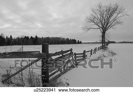 Stock Image - Beach - Gimli, Manitoba. Fotosearch