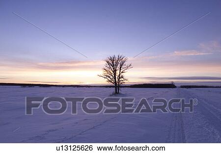 Beach - Gimli, Manitoba View Large Photo Image Stock Photograph - Beach - Gimli, Manitoba. Fotosearch
