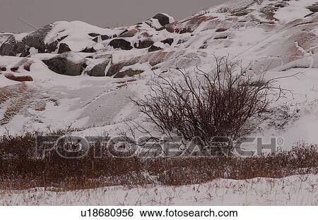Churchill Northern Manitoba town and surroundings Canada Tundra Landscape View Large Photo Image Stock Photograph - Churchill Northern Manitoba town and surroundings Canada Tundra Landscape. Fotosearch