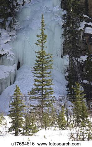 Stock Photograph - Johnson Canyon - Banff, Alberta, Canada. Fotosearch