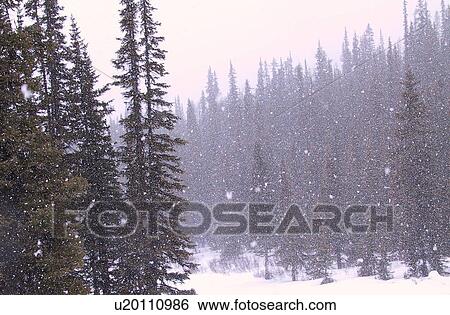 Lake Louise Ski Resort, Alberta, Canada View Large Photo Image Stock Photograph - Lake Louise Ski Resort, Alberta, Canada. Fotosearch
