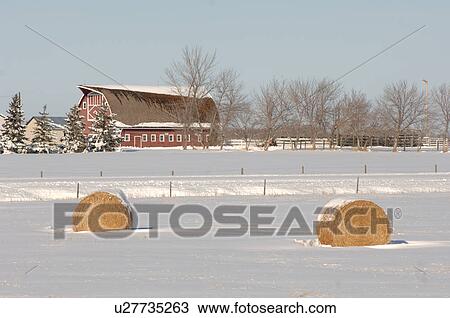 Red Barn and Bales of Hay on Farmland View Large Photo Image Stock Image - Red Barn and Bales of Hay on Farmland. Fotosearch