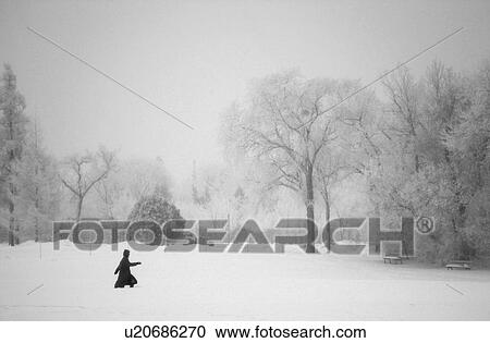 Winnipeg Manitoba, Canada Winter Scenes View Large Photo Image Stock Image - Winnipeg Manitoba, Canada Winter Scenes. Fotosearch