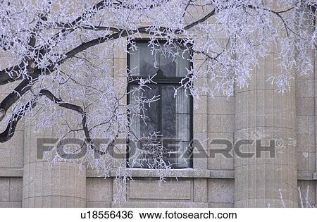 Winnipeg Manitoba, Canada Winter Scenes View Large Photo Image Stock Photograph - Winnipeg Manitoba, Canada Winter Scenes. Fotosearch