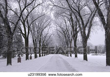 Stock Photograph - Winnipeg Manitoba, Canada Winter Scenes. Fotosearch