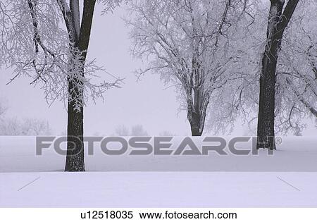 Stock Photography - Winnipeg Manitoba, Canada Winter Scenes. Fotosearch