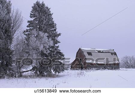 winter in Manitoba, prairie scene View Large Photo Image Stock Photo - winter in Manitoba, prairie scene. Fotosearch