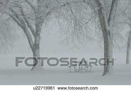 Winter Scenes - Canada View Large Photo Image Stock Image - Winter Scenes - Canada. Fotosearch