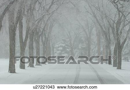 Winter Scenes - Canada View Large Photo Image Stock Image - Winter Scenes - Canada. Fotosearch