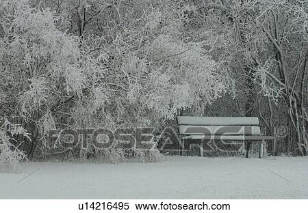 Winter Scenes - Canada View Large Photo Image Stock Photography - Winter Scenes - Canada. Fotosearch